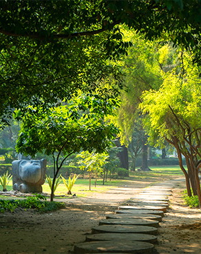 Green Park and Lawn area